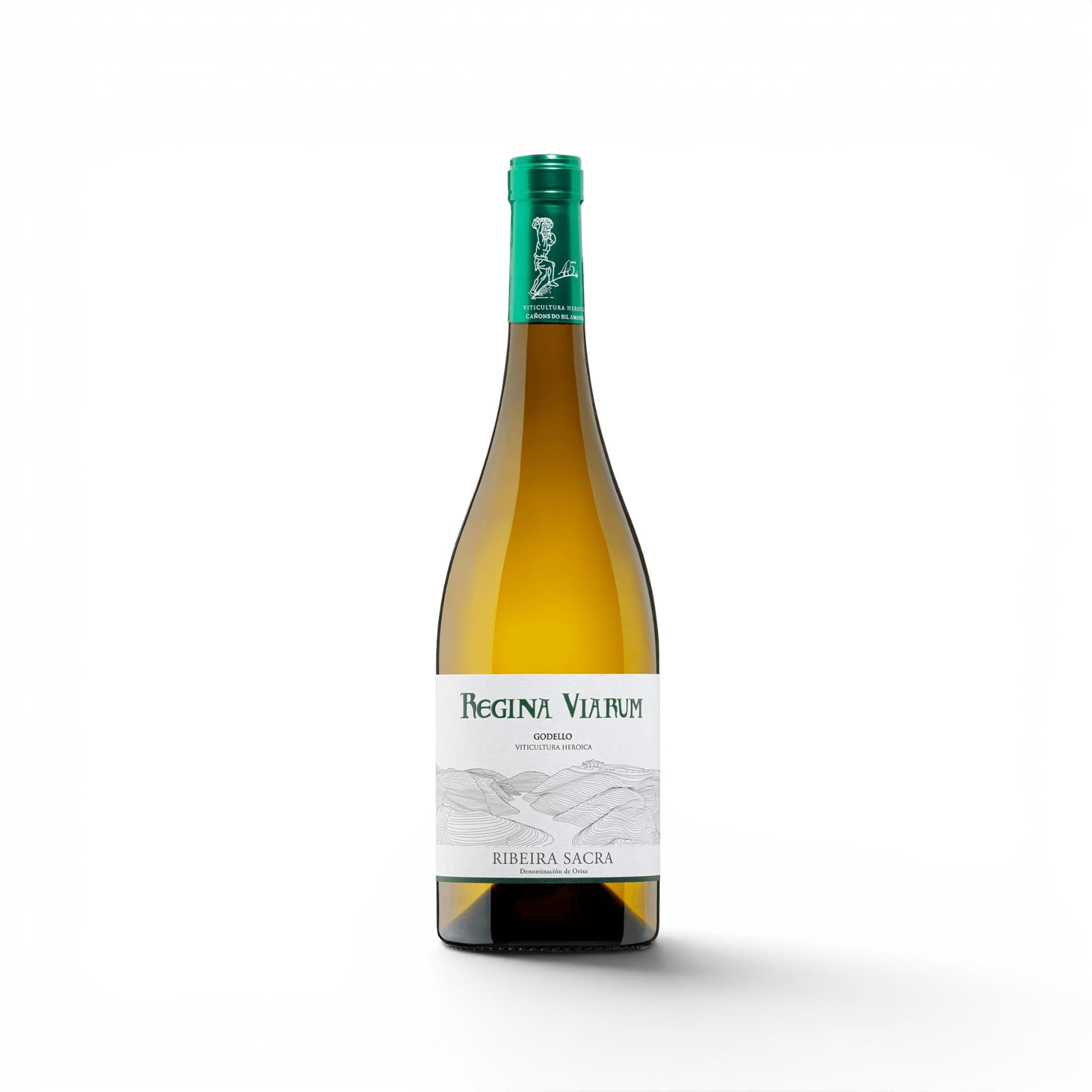 Regina Viarum Blanco — Vinos Blancos — La Compania Gourmet